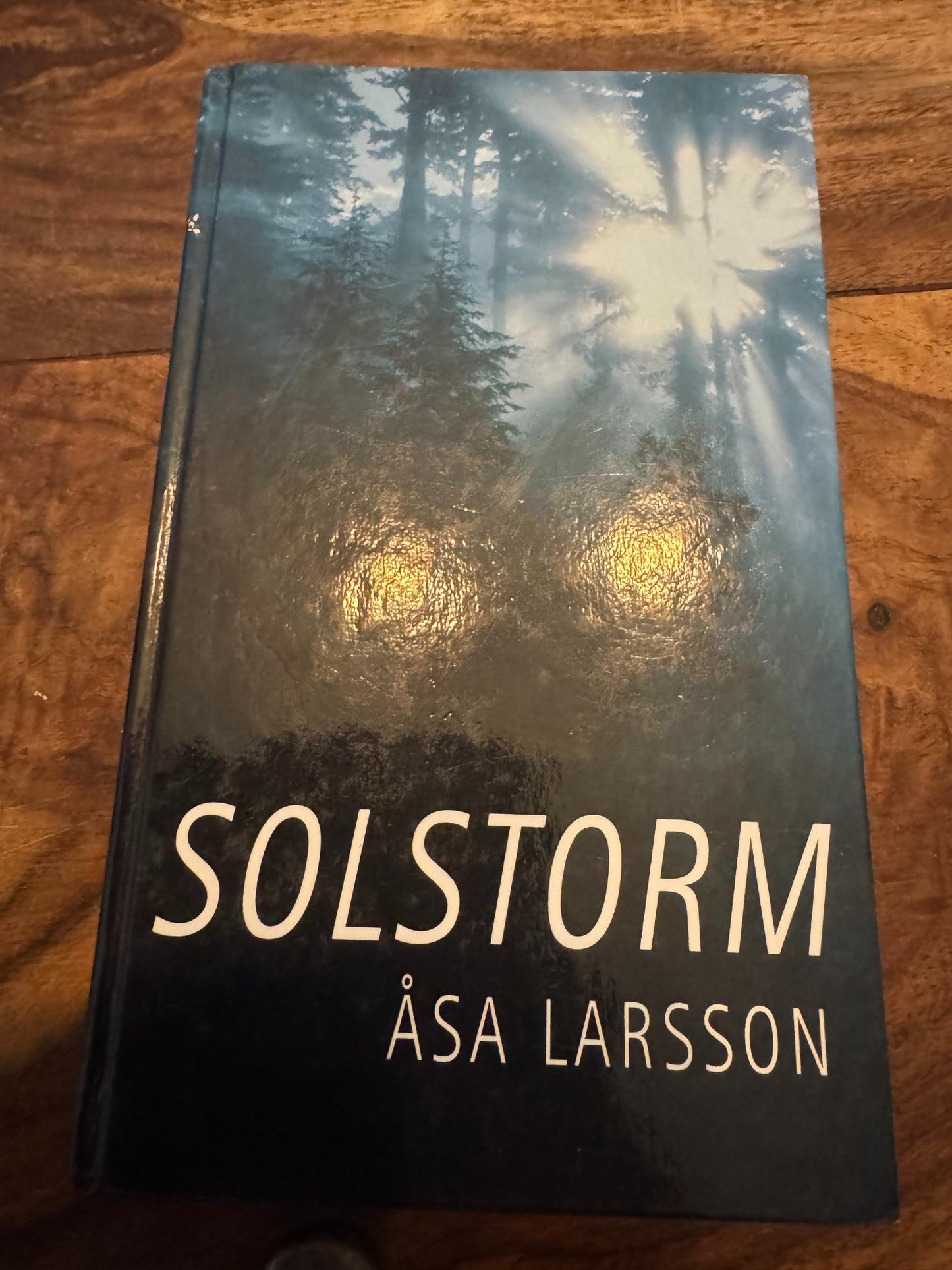 Solstorm Åsa Larsson 2004