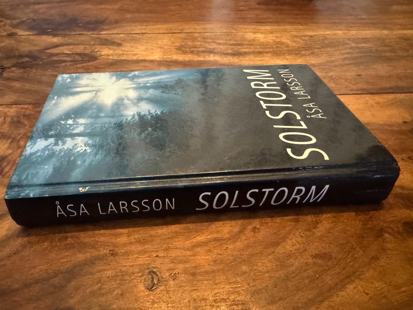 Solstorm Åsa Larsson 2004