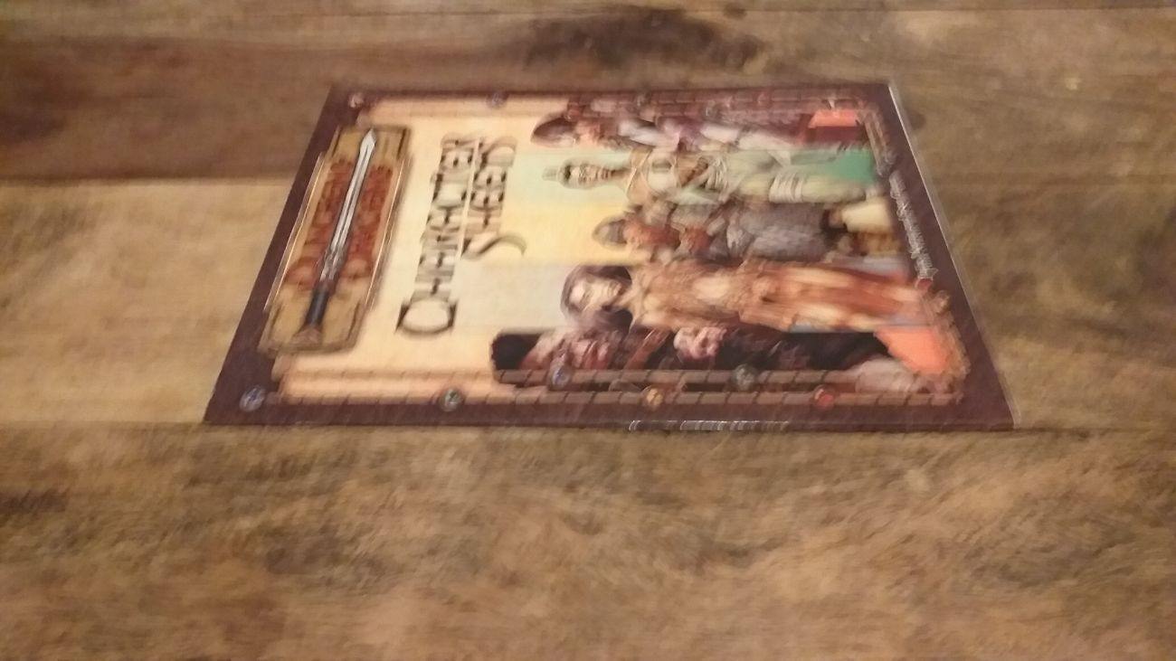 Dungeons and Dragons Character Sheets Julia Martin and Sean Glenn - books