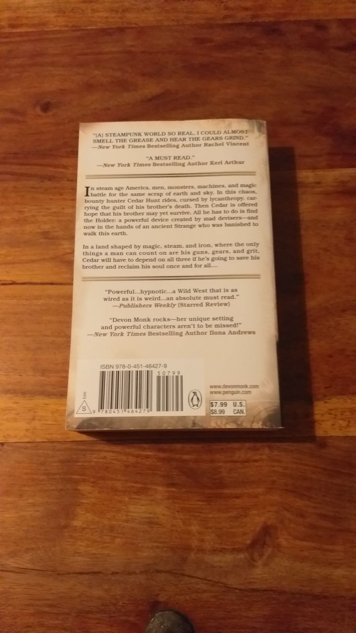Dead Iron: The Age of Steam by Monk, Devon