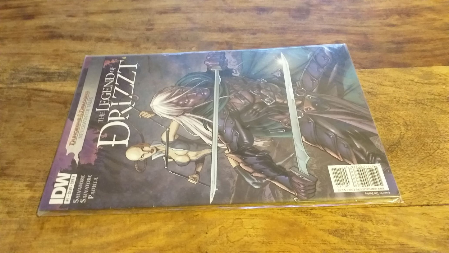Dungeons & Dragons The Legend of Drizzt Neverwinter Tales #1B