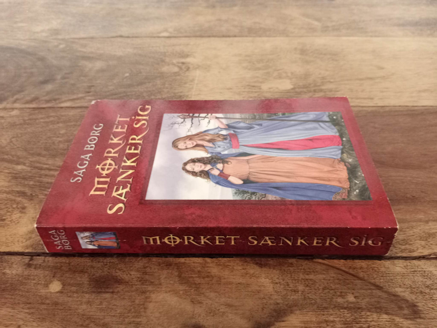 Mørket sænker sig Jarastavens vandring #5 Saga Borg Lindhardt og Ringhof 2003