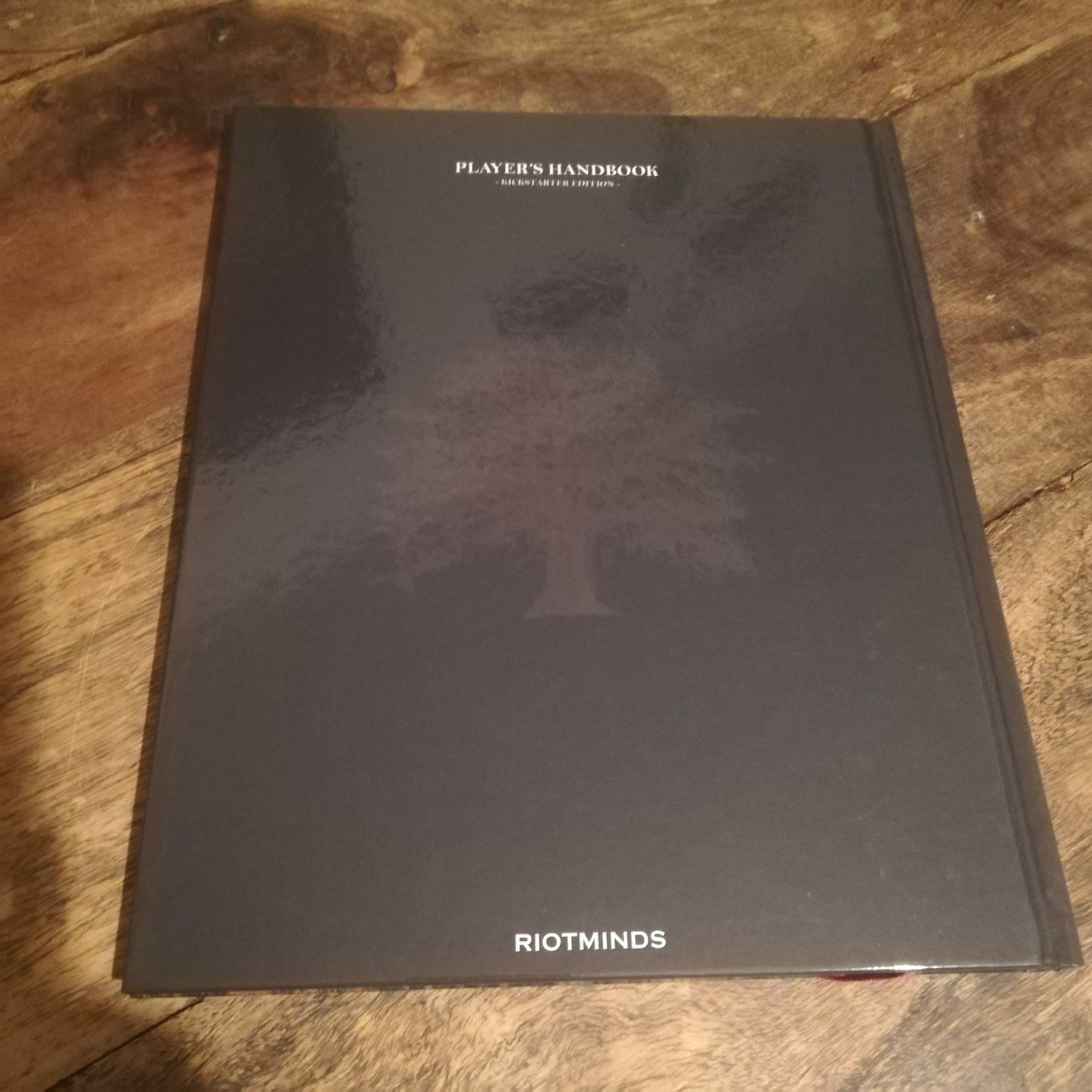 Trudvang Chronicles Riotminds Player's Handbook - AllRoleplaying.com