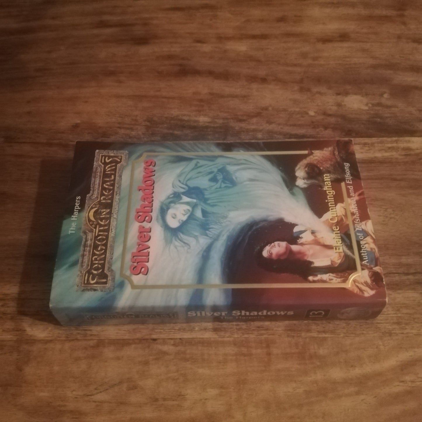 Forgotten Realms Silver Shadows by Elaine Cunningham 1996 - AllRoleplaying.com
