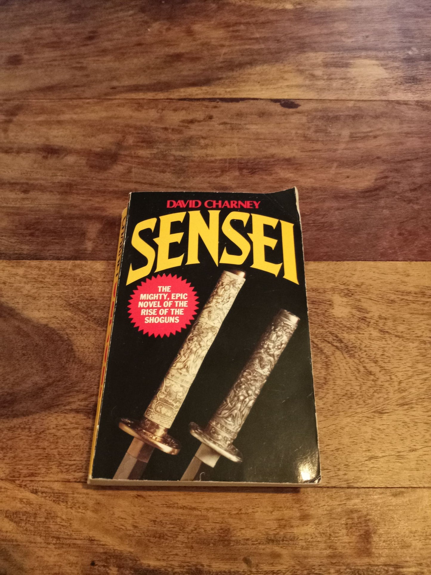 Sensei David Charney 1984