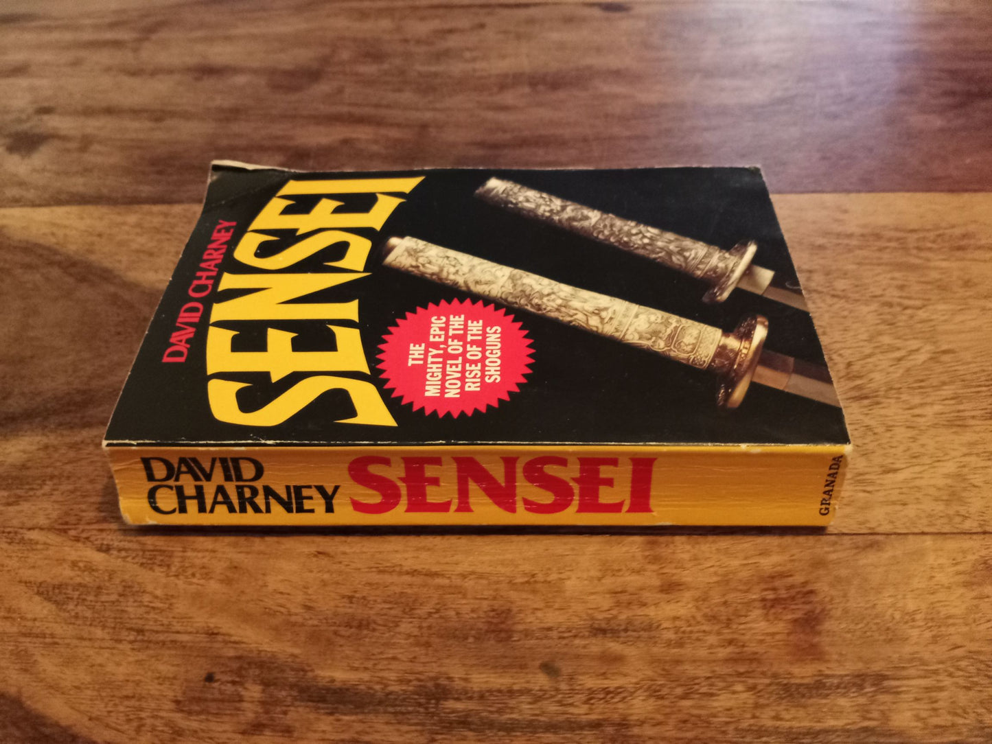 Sensei David Charney 1984