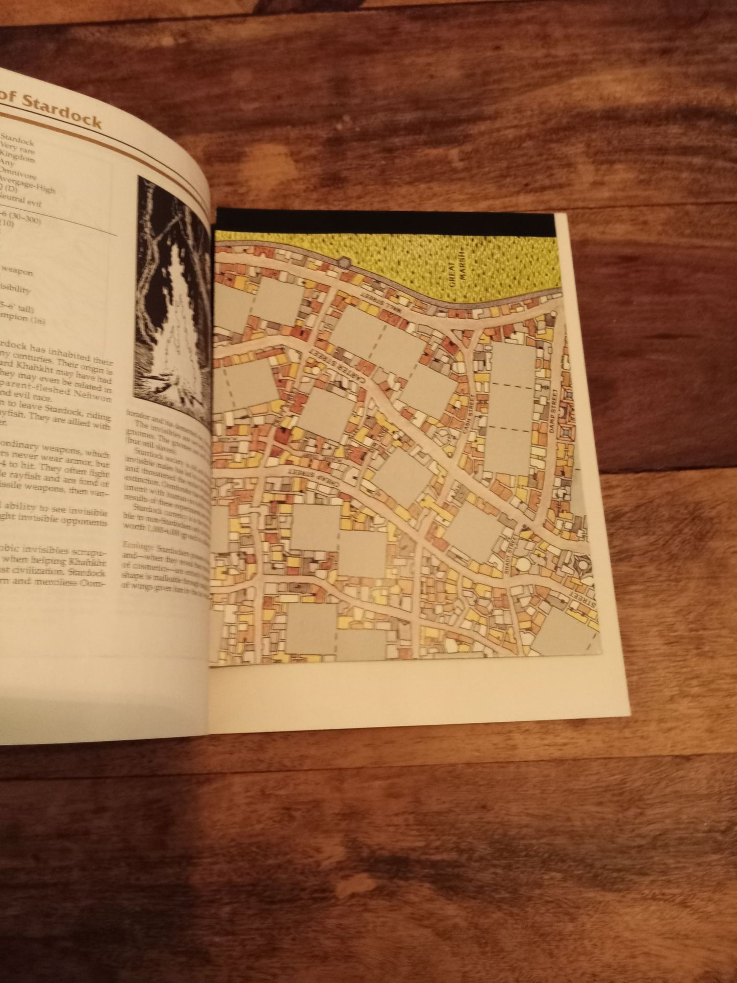 AD&D Lankhmar City of Adventure AD&D 2nd Ed TSR #2137 With Map 1993