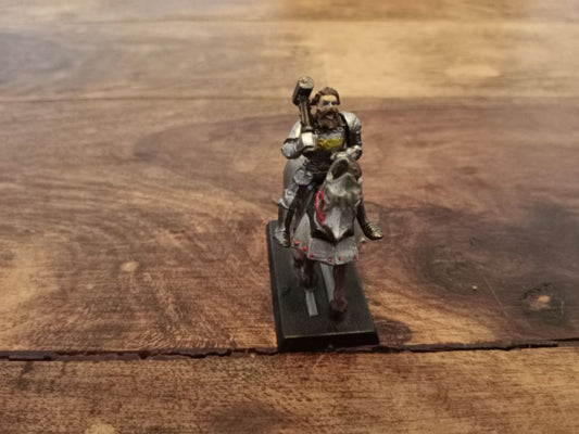 Warhammer Fantasy Empire Knight of the White Wolf