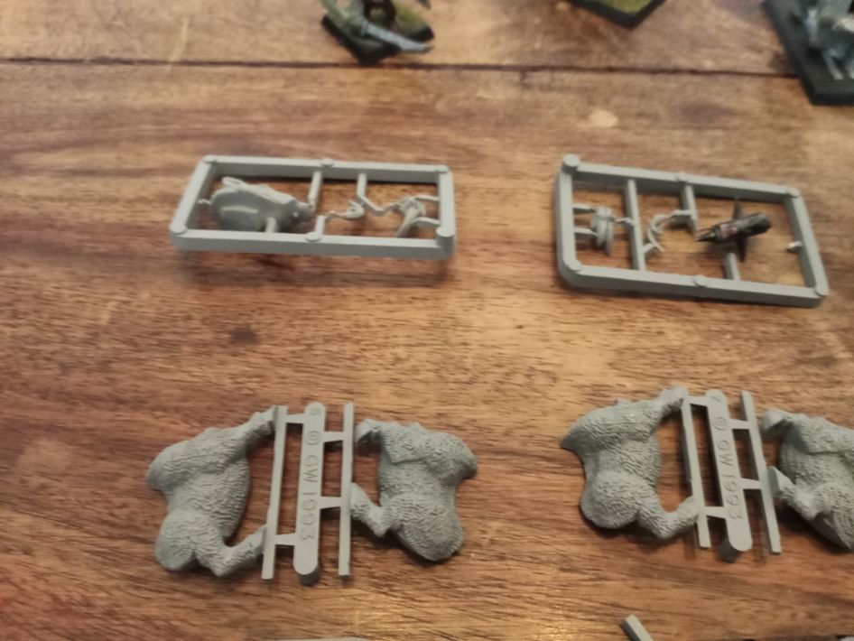 Warhammer Fantasy Goblin Wolf Rider Boyz Bits/Sprue Games Workshop