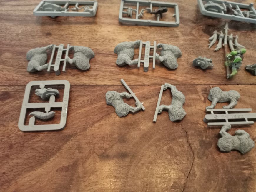 Warhammer Fantasy Goblin Wolf Rider Boyz Bits/Sprue Games Workshop