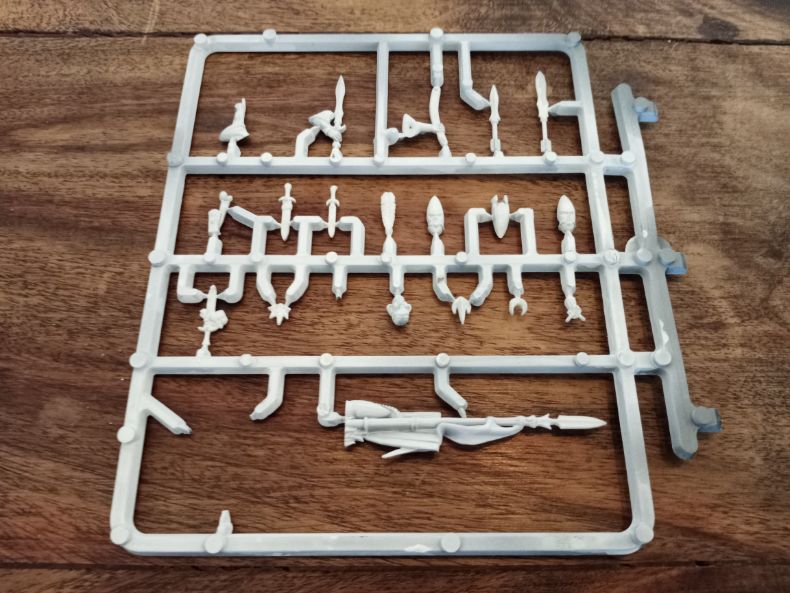Warhammer Fantasy High Elves Regiment Sprue Games Workshop