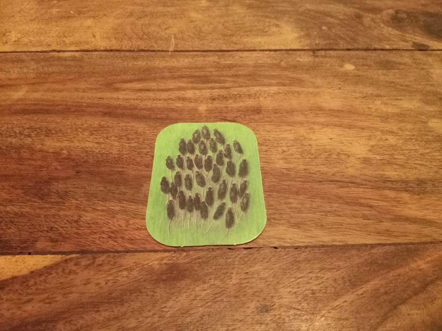 Warhammer Fantasy Battle Card Rats Template Games Workshop