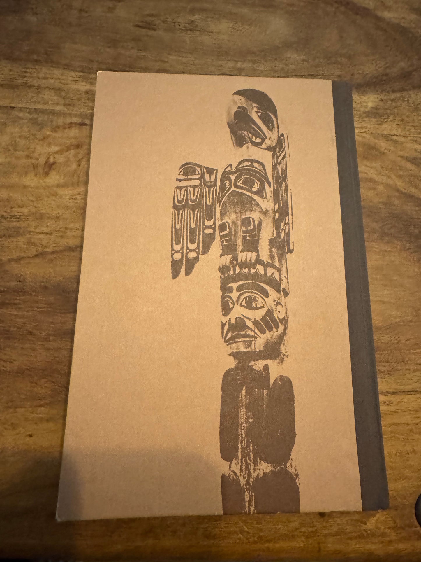 Shamanens datter Nan F. Salerno - Rosamond M. Vanderburgh