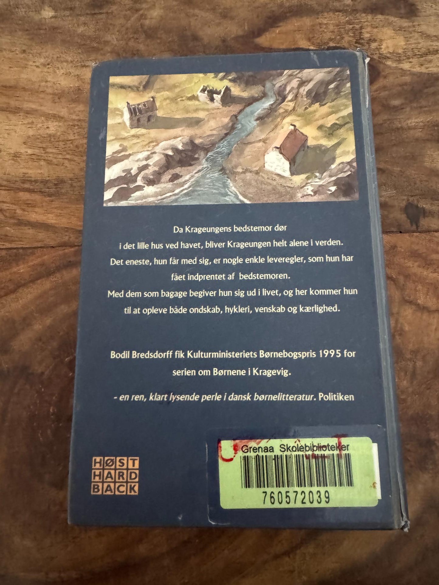 Børnene i Kragevig Bodil Bredsdorff