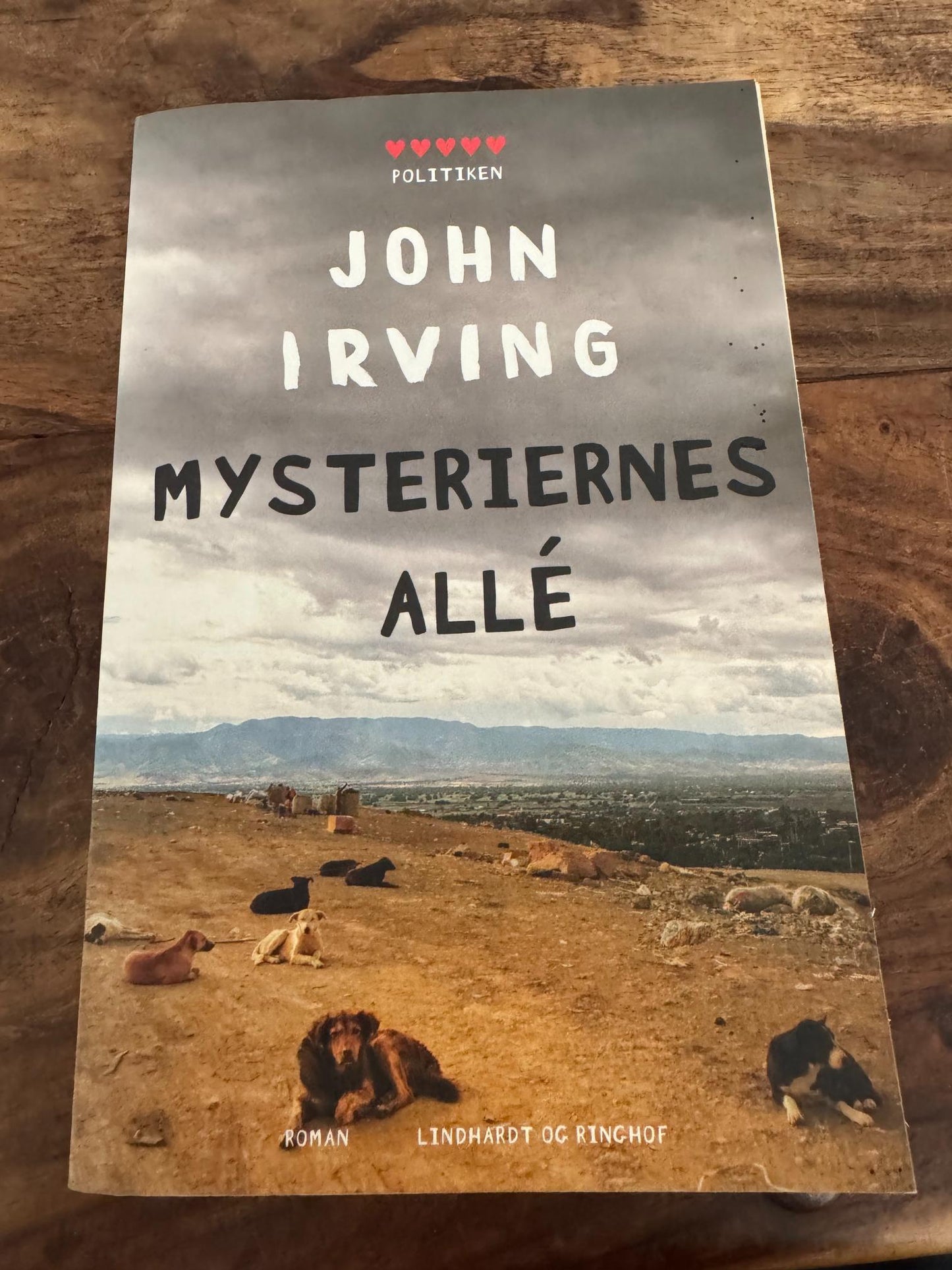 Mysteriernes allé John Irving