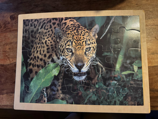 25 Piece Wood Puzzles 2004