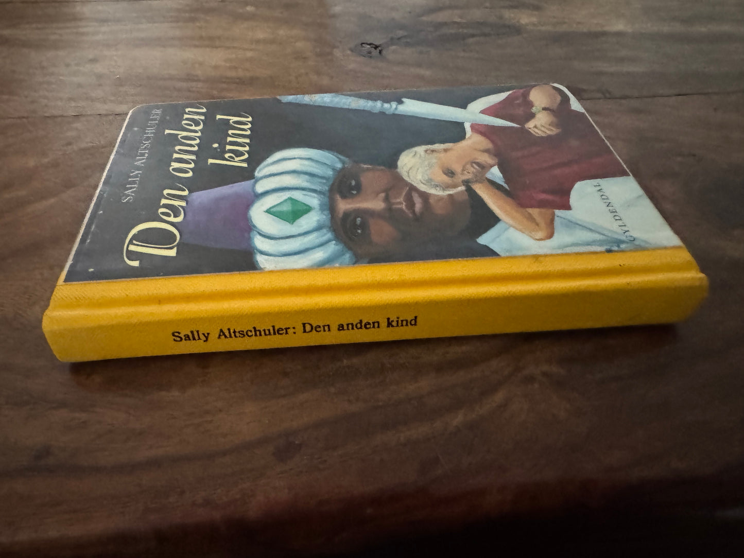 Den anden kind Sally Altschuler