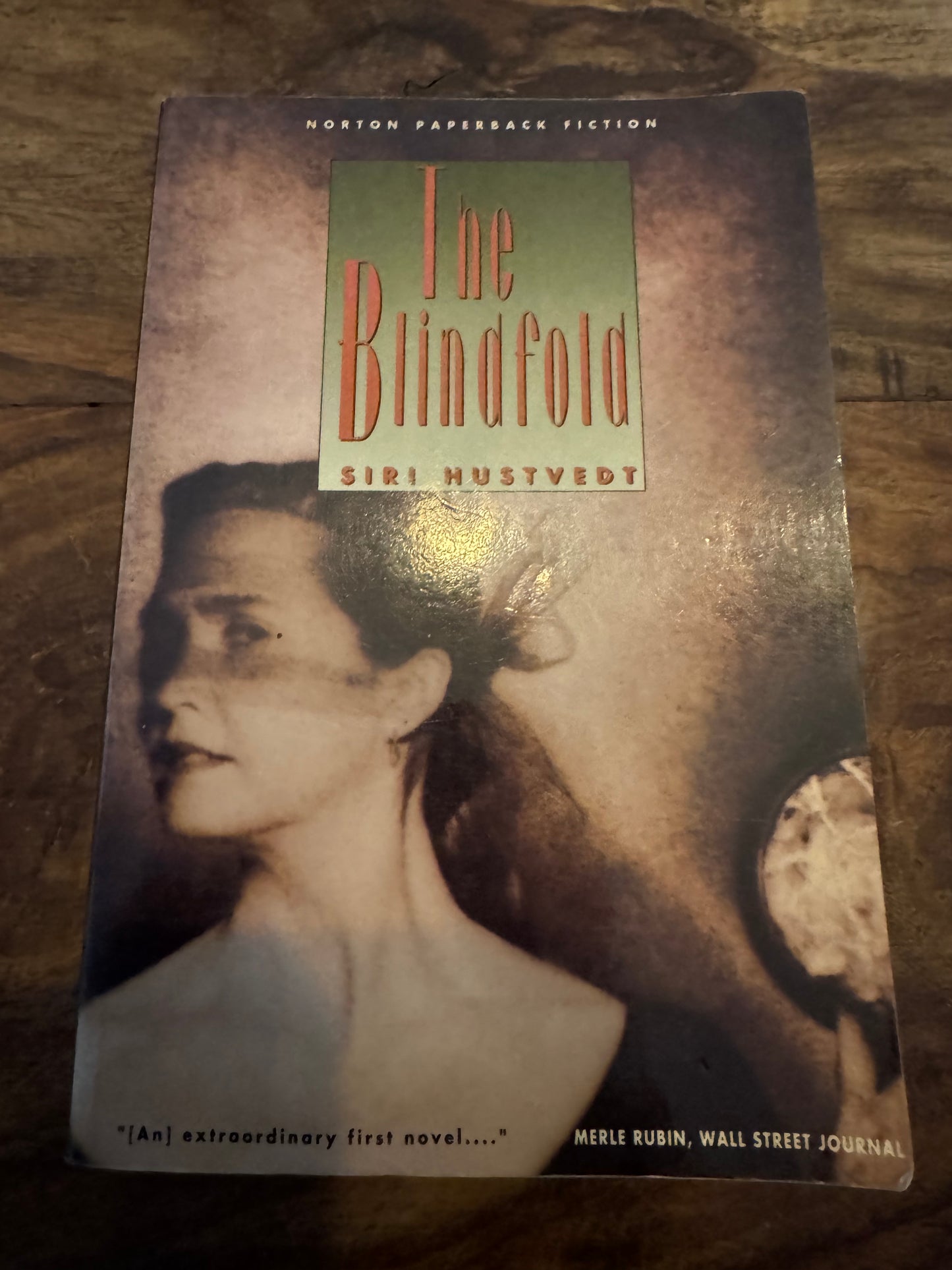 The Blindfold Siri Hustvedt
