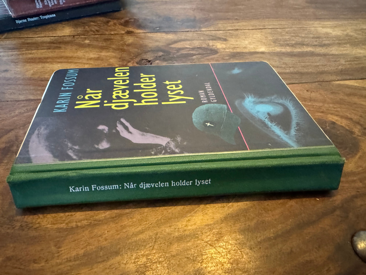 Når djævelen holder lyset Karin Fossum