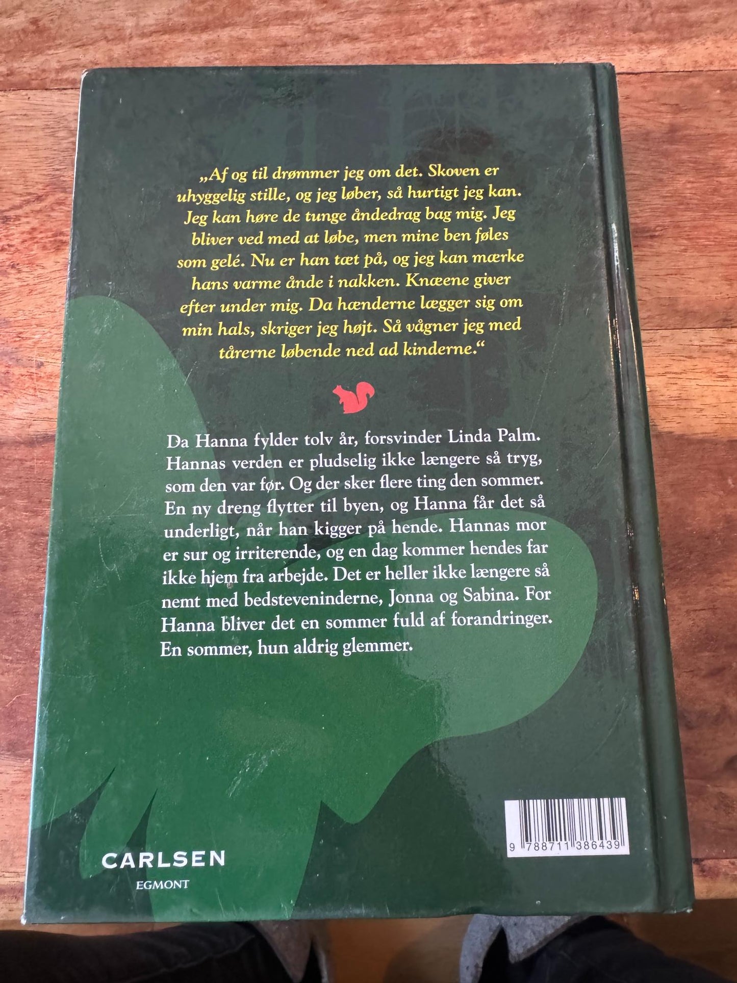 Den sommer Linda forsvandt Moa Eriksson