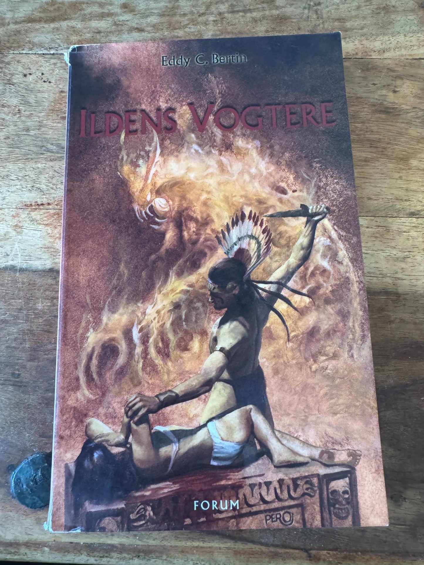 Ildens Vogtere Eddy C. Bertin 2001