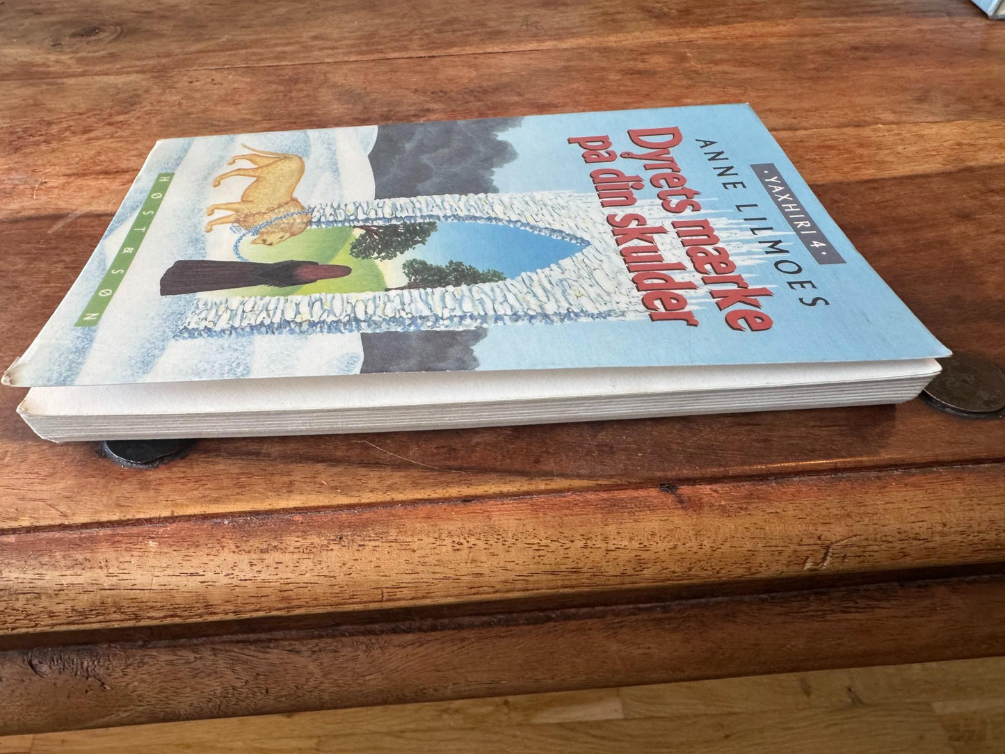 Dyrets mærke på din skulder Yaxhiri #4 Anne Lilmoes