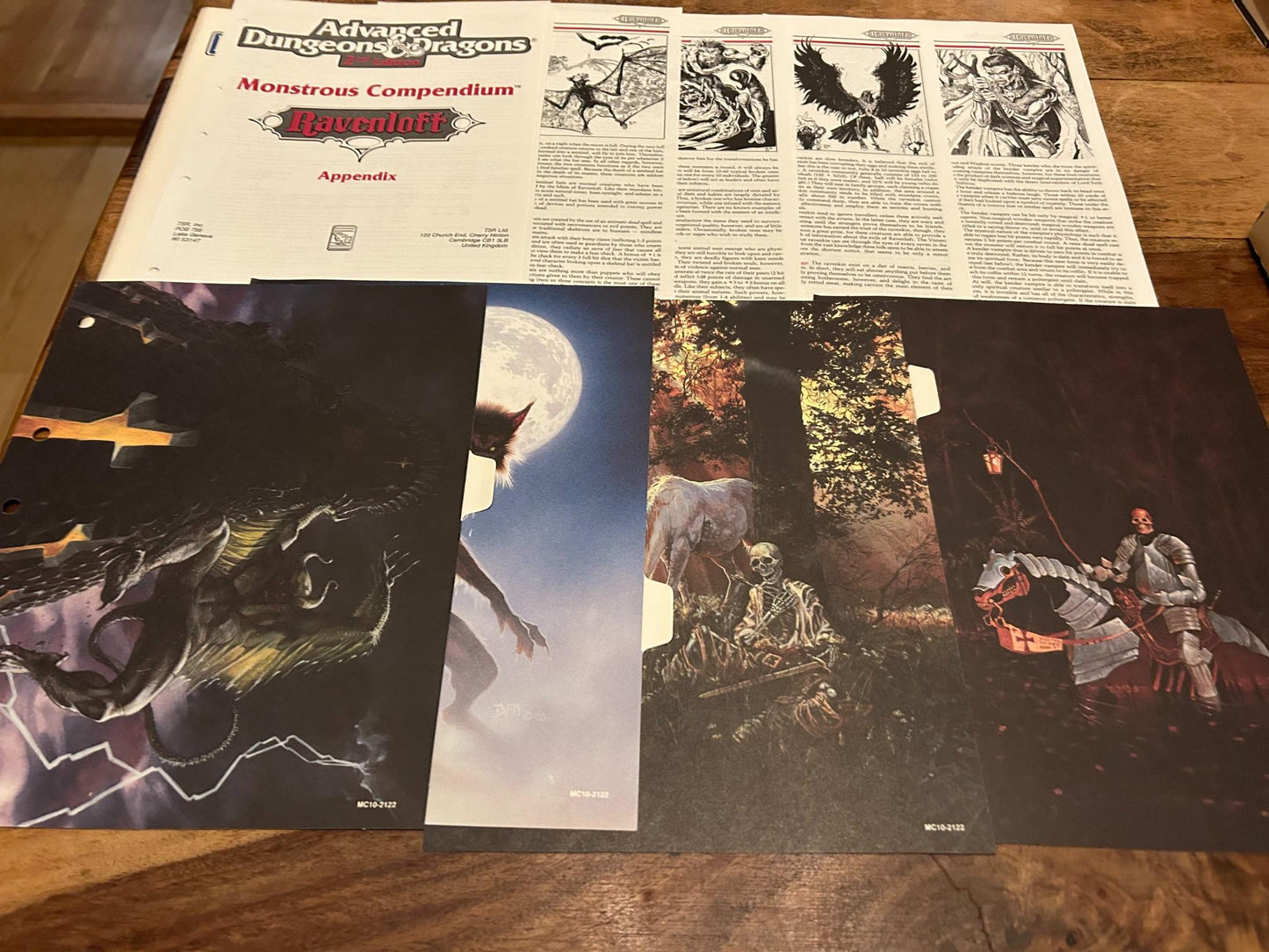 AD&D Ravenloft Monstrous Compendium Appendix #1 TSR 1991