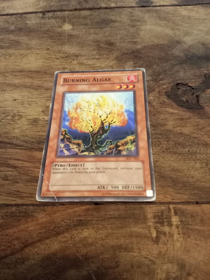 Yu-Gi-Oh! Burning Algae IOC-062