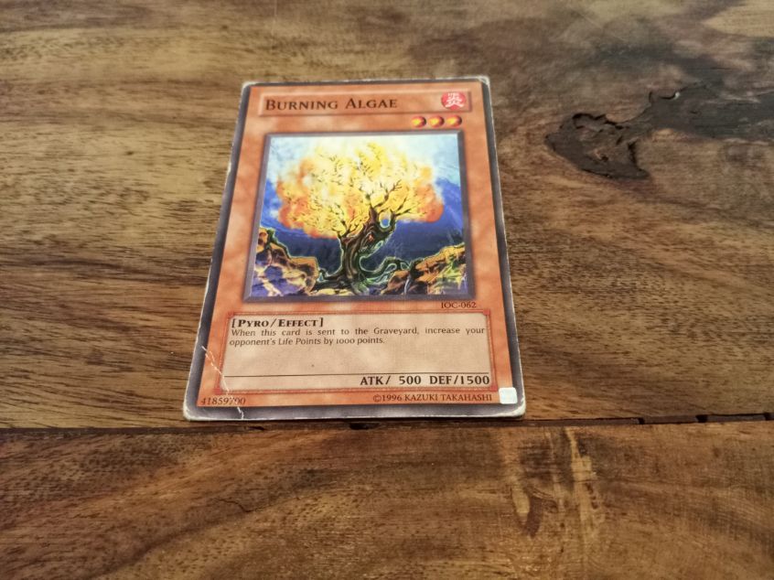 Yu-Gi-Oh! Burning Algae IOC-062