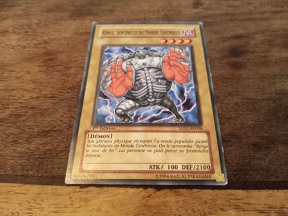 Yu-Gi-Oh! Renge, Sentinel of the Dark World 5DS1-FR008