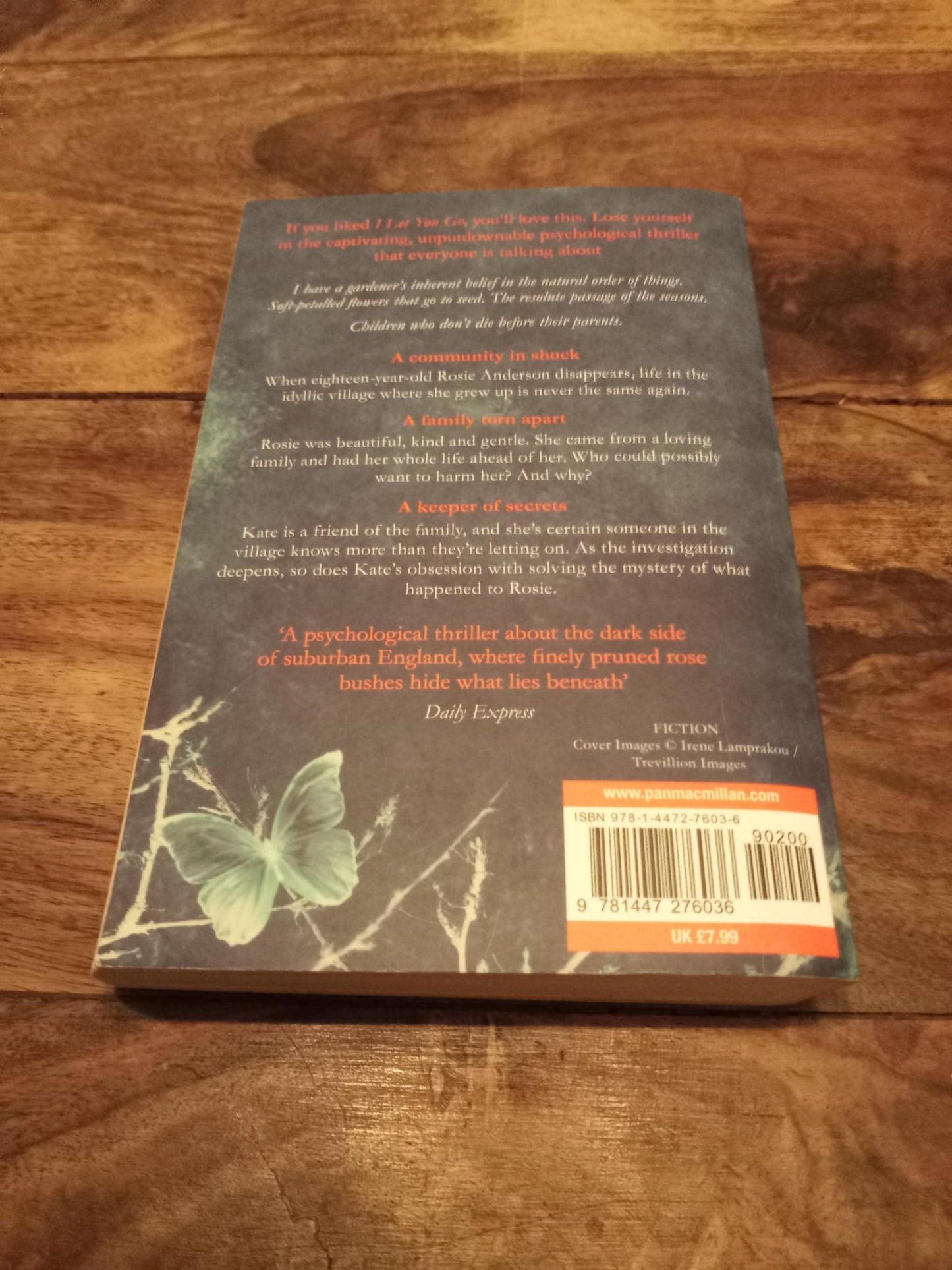 The Bones of You Debbie Howells Pan Macmillan 2015