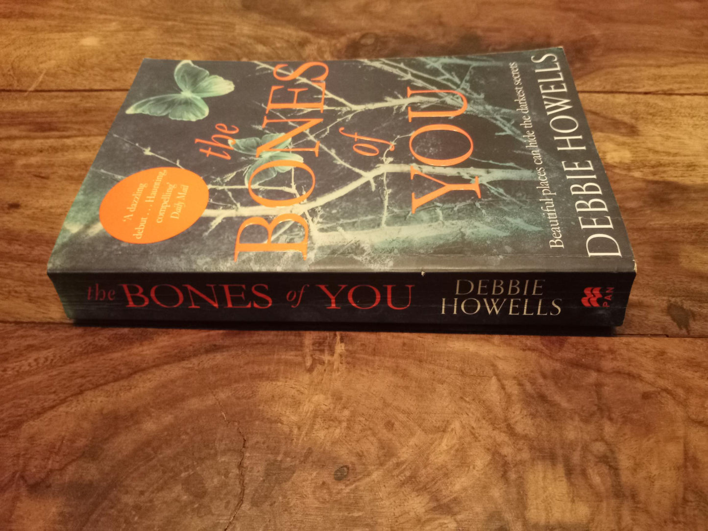 The Bones of You Debbie Howells Pan Macmillan 2015