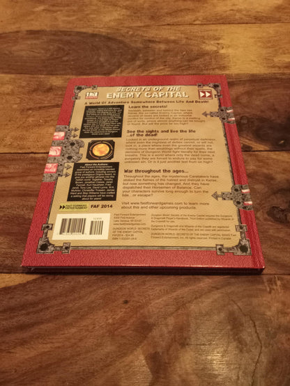 Secrets of the Enemy Capital d20 Dungeon World - Fast Forward Entertainment 2003