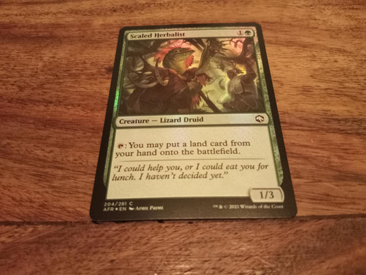 Magic The Gathering Scaled Herbalist MTG D&D Forgotten Realms