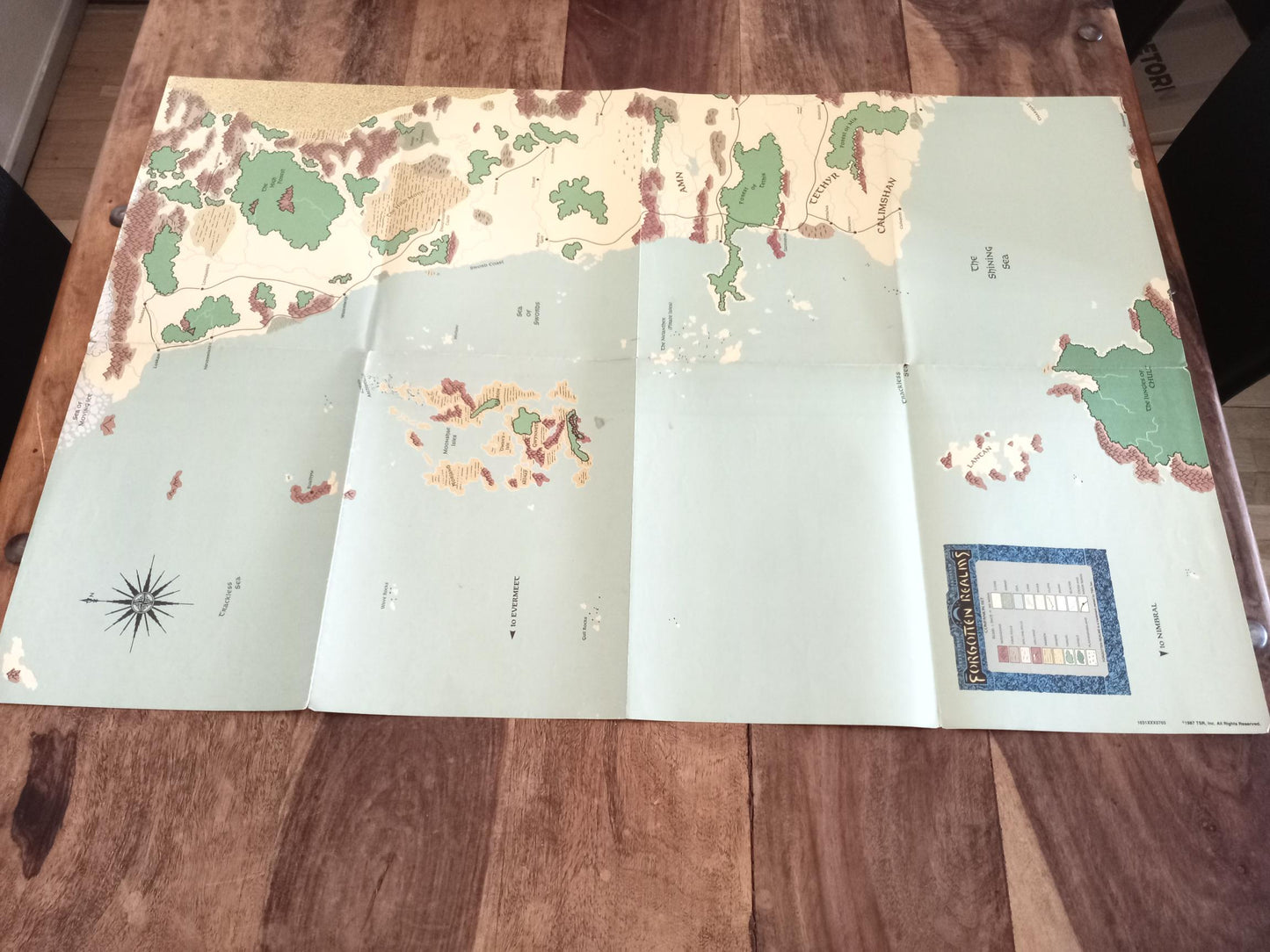 Forgotten Realms Campaign Set Map TSR 1031 AD&D 1987