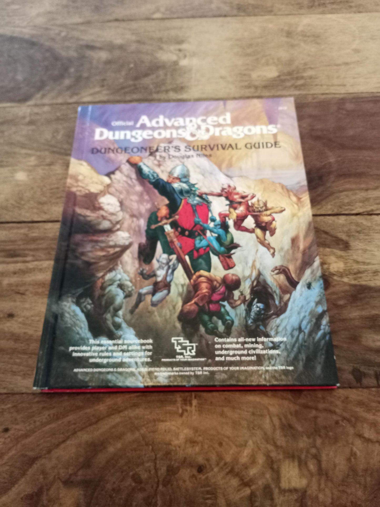 Dungeons and Dragons Dungeoneer's Survival Guide TSR 2019 AD&D 1986