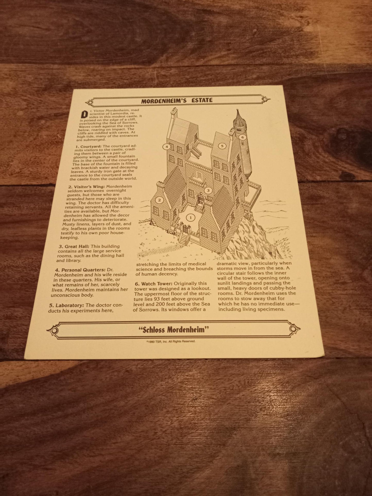 Ravenloft Realm of Terror TSR 1053 Card AD&D 1990