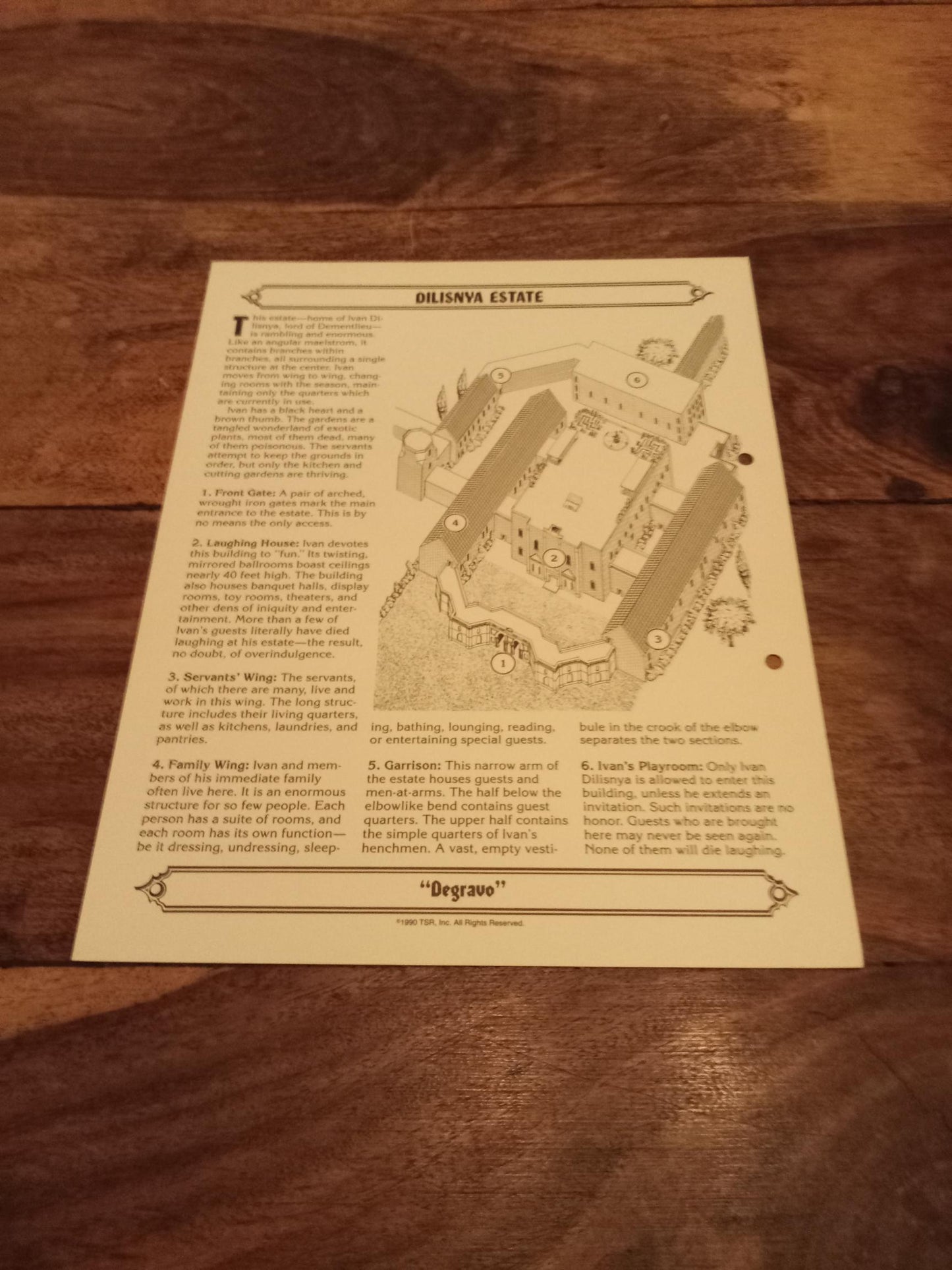 Ravenloft Realm of Terror TSR 1053 Card AD&D 1990