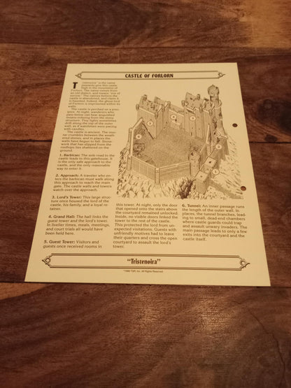 Ravenloft Realm of Terror TSR 1053 Card AD&D 1990