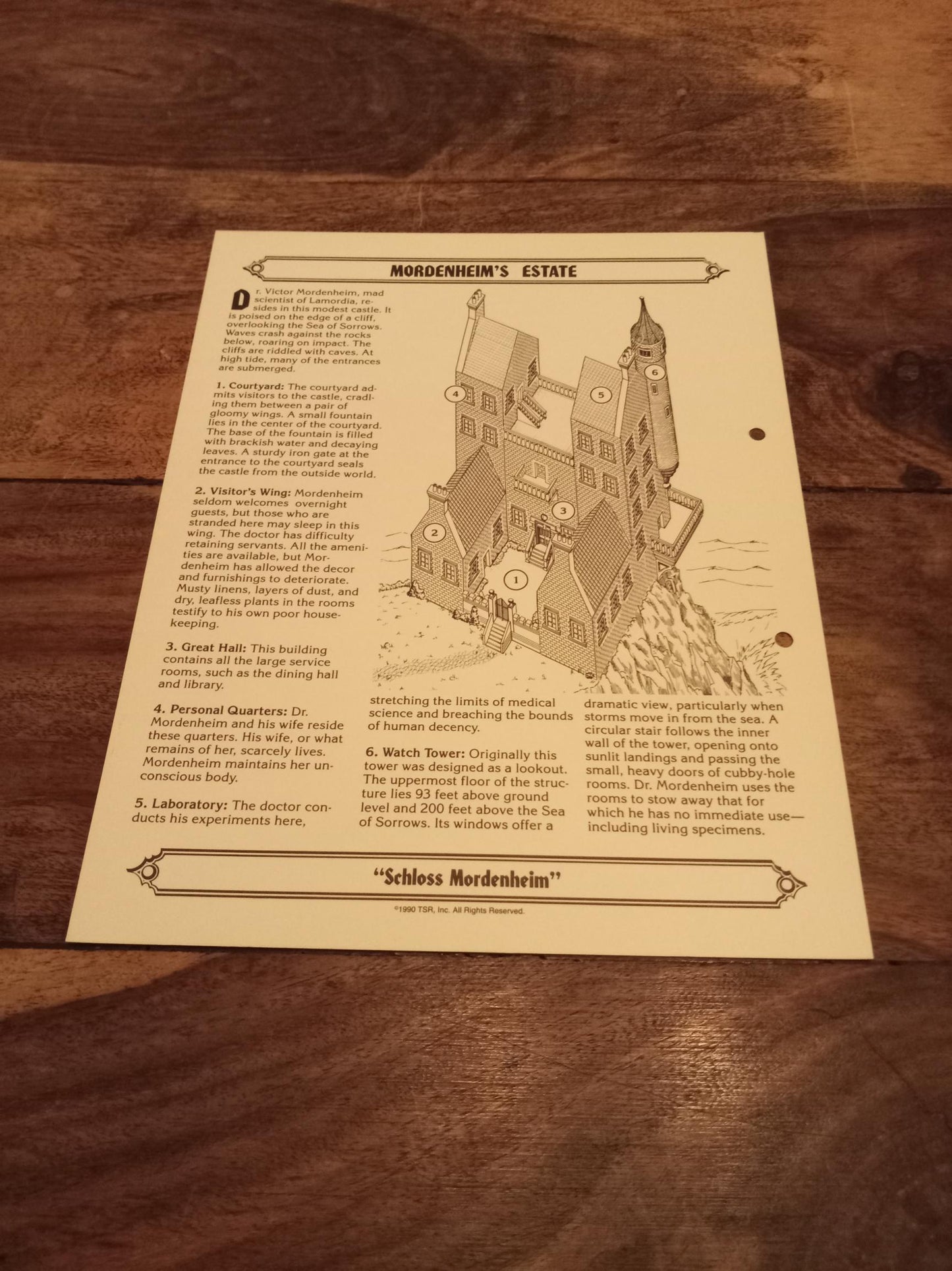 Ravenloft Realm of Terror TSR 1053 Card AD&D 1990