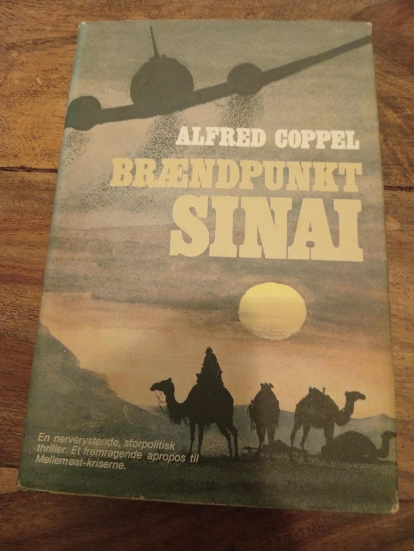 Brændpunkt Sinai Alfred Coppel 1975