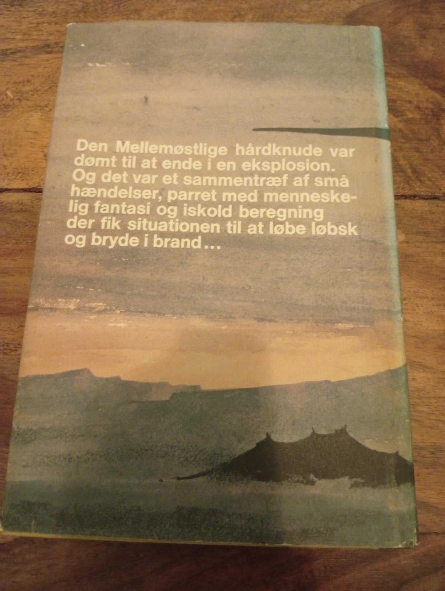 Brændpunkt Sinai Alfred Coppel 1975