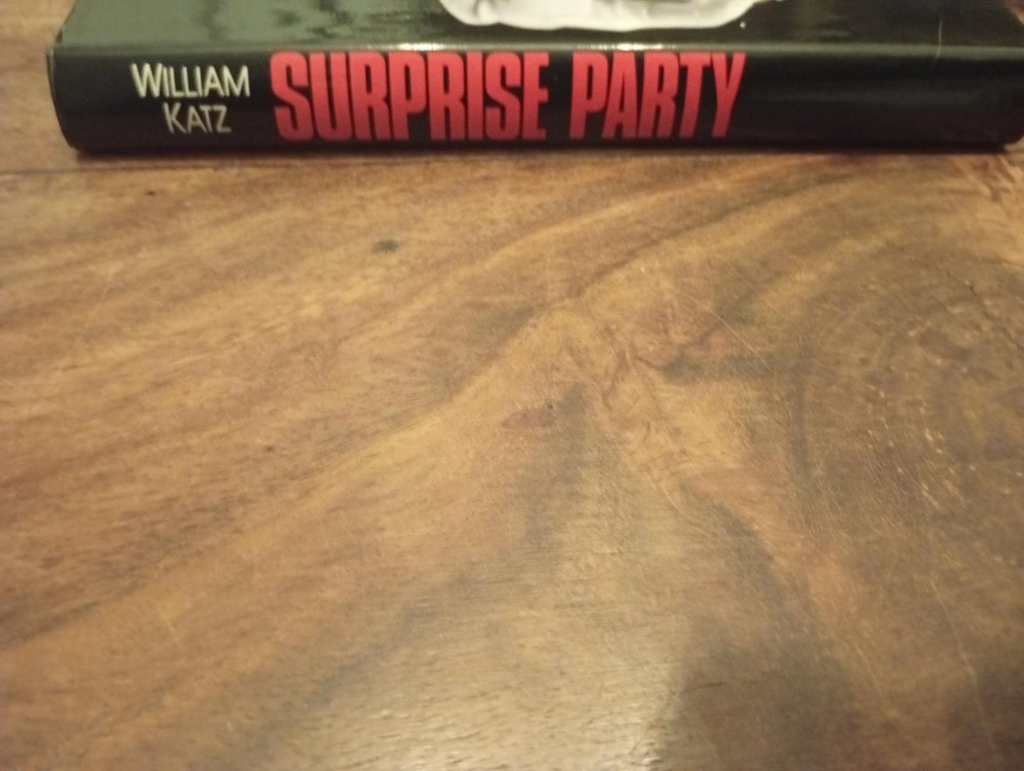 Surprise Party William Katz 1984