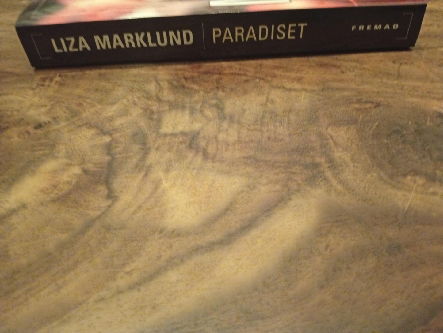 Paradiset Liza Marklund Rosinante 2006