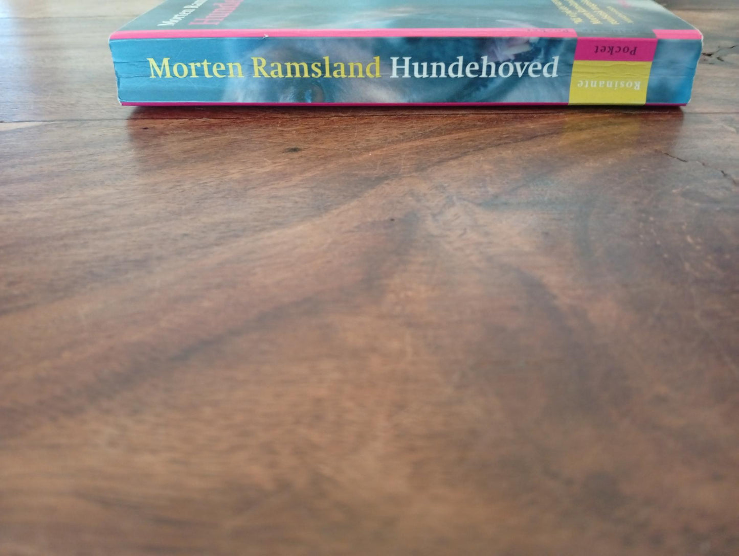 Hundehoved Morten Ramsland Rosinante 2017