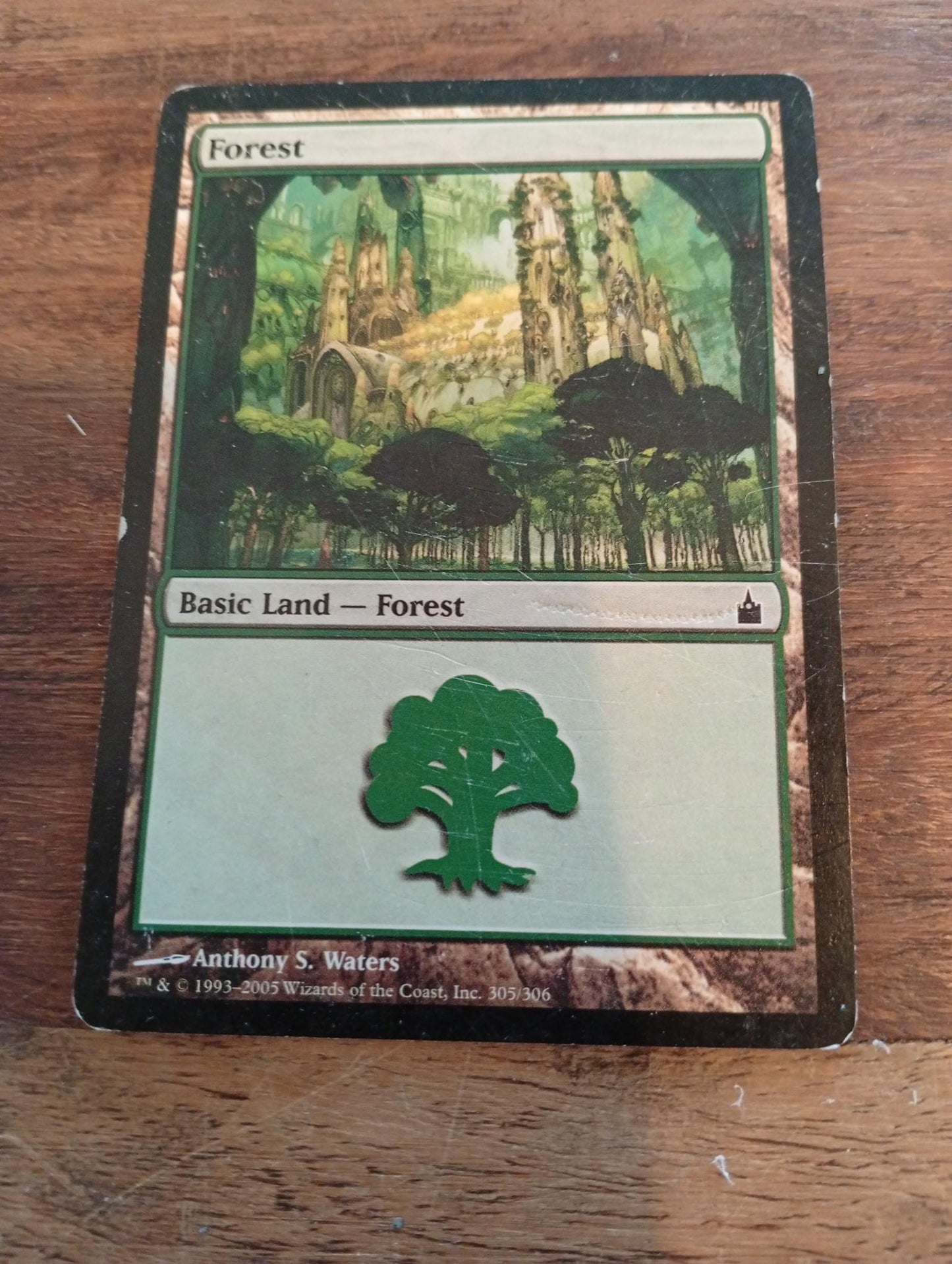 Magic The Gathering Forest #305