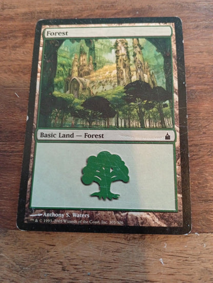 Magic The Gathering Forest #305