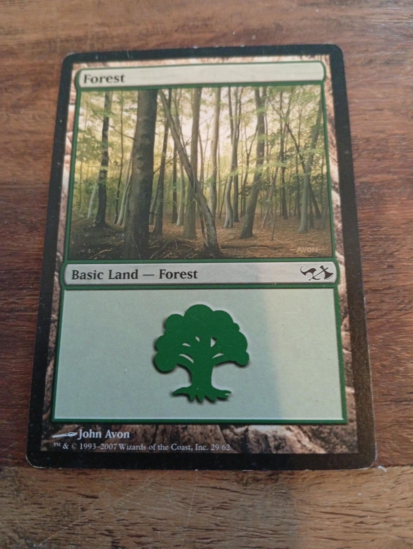 Magic The Gathering Forest #29