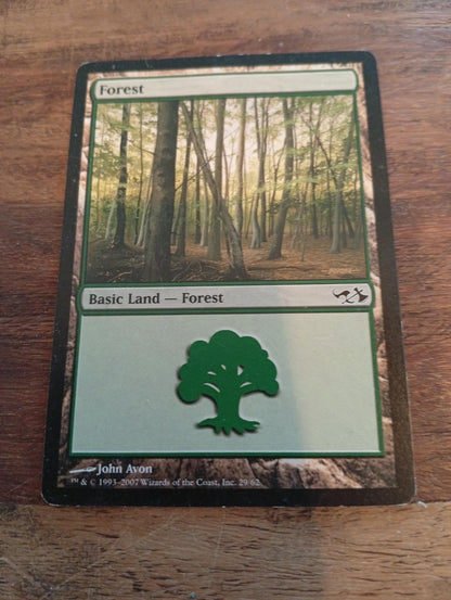 Magic The Gathering Forest #29
