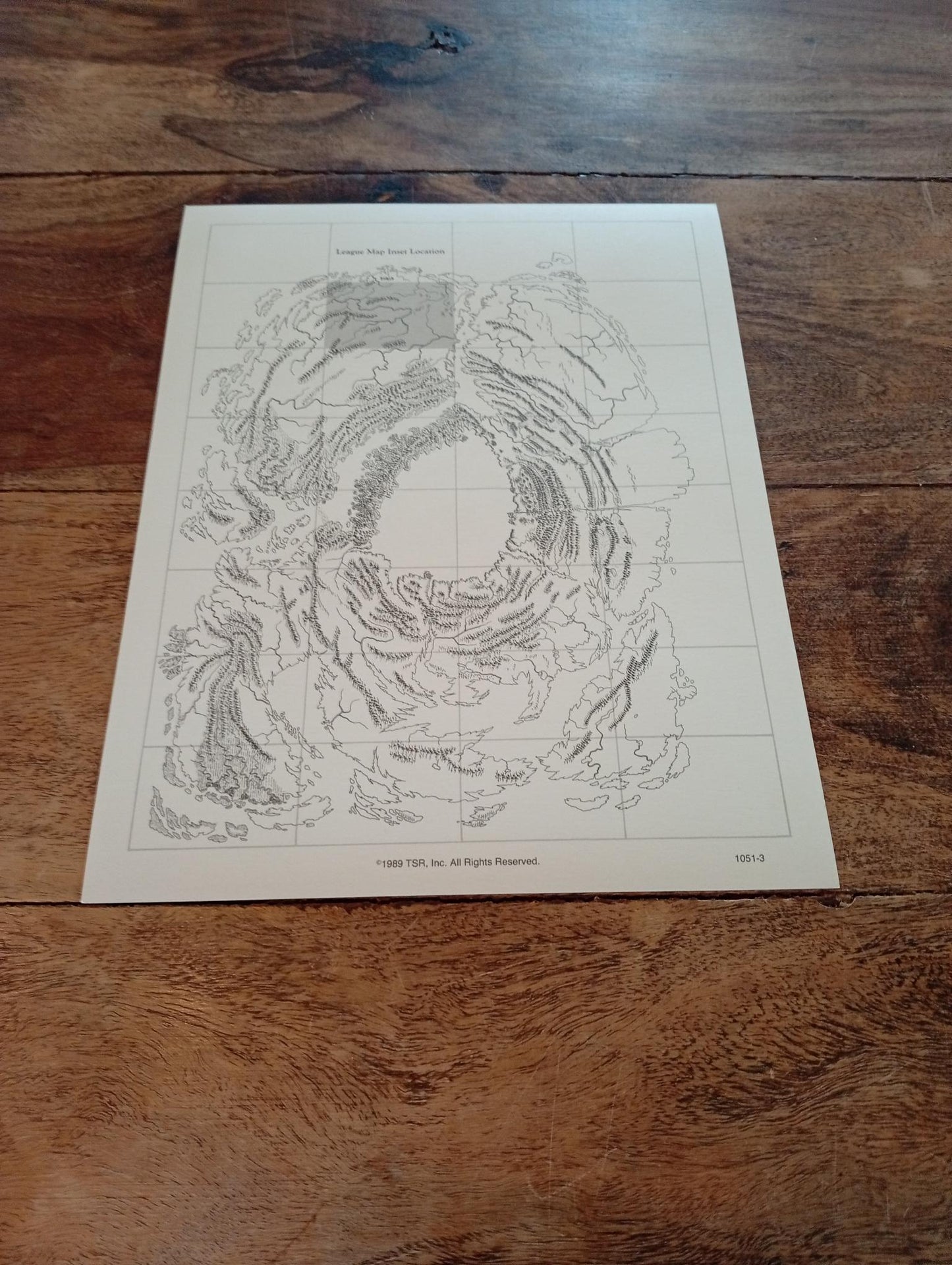Dragonlance Time of the Dragon TSR 1050 Card AD&D 1993